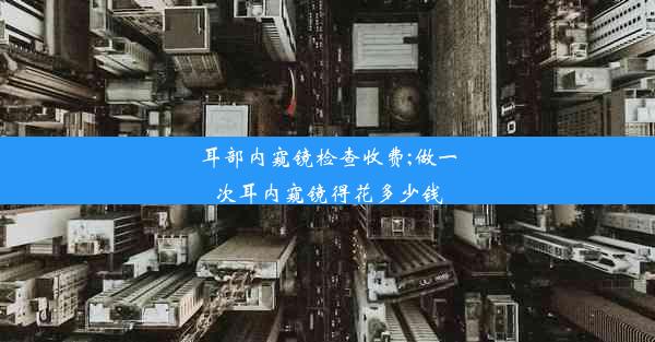 耳部内窥镜检查收费;做一次耳内窥镜得花多少钱