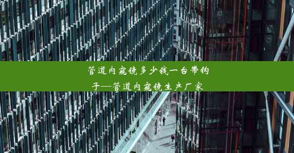 管道内窥镜多少钱一台带钩子—管道内窥镜生产厂家