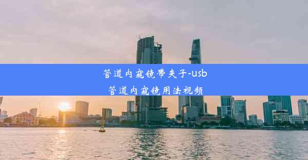 管道内窥镜带夹子-usb管道内窥镜用法视频