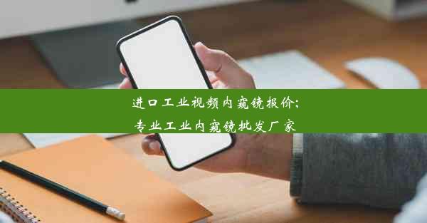 <b>进口工业视频内窥镜报价;专业工业内窥镜批发厂家</b>