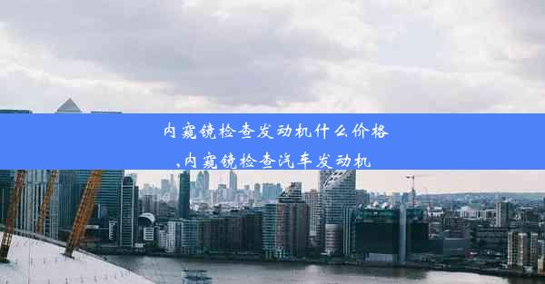 内窥镜检查发动机什么价格,内窥镜检查汽车发动机