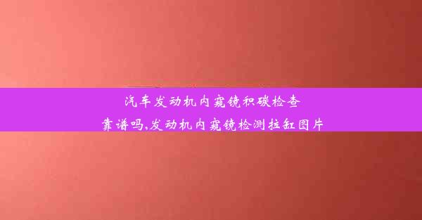 汽车发动机内窥镜积碳检查靠谱吗,发动机内窥镜检测拉缸图片