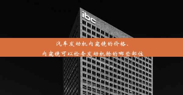 汽车发动机内窥镜的价格、内窥镜可以检查发动机舱的哪些部位