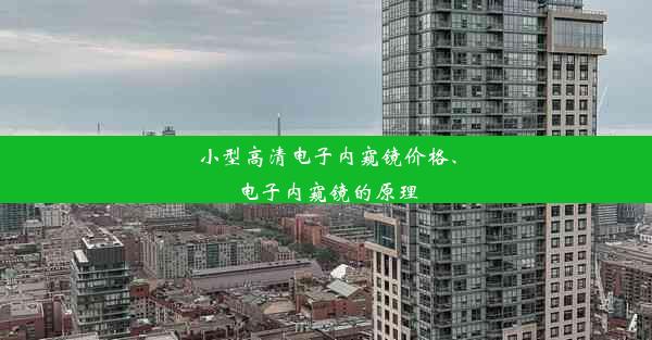 小型高清电子内窥镜价格、电子内窥镜的原理