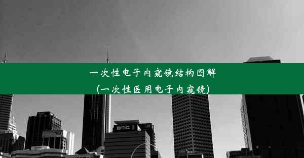 一次性电子内窥镜结构图解(一次性医用电子内窥镜)