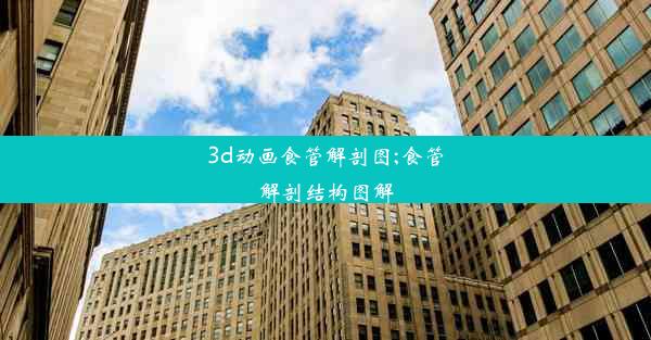 3d动画食管解剖图;食管解剖结构图解