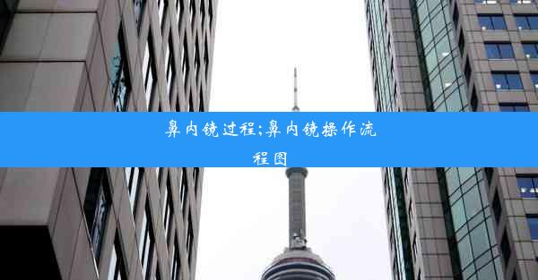 鼻内镜过程;鼻内镜操作流程图