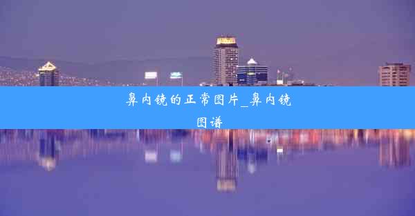 鼻内镜的正常图片_鼻内镜图谱