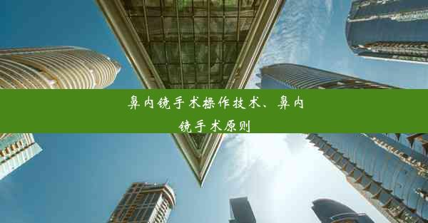 鼻内镜手术操作技术、鼻内镜手术原则