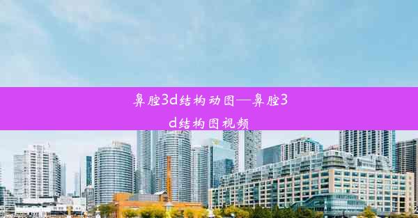 鼻腔3d结构动图—鼻腔3d结构图视频