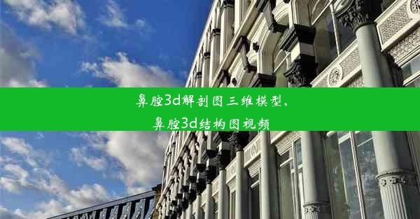 鼻腔3d解剖图三维模型,鼻腔3d结构图视频