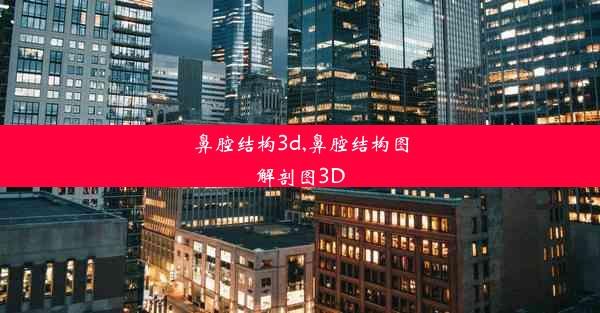 鼻腔结构3d,鼻腔结构图解剖图3D