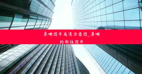 鼻咽图片高清示意图_鼻咽的部位图片