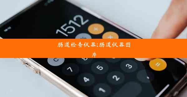 肠道检查仪器;肠道仪器图片