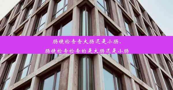 肠镜检查查大肠还是小肠、肠镜检查检查的是大肠还是小肠