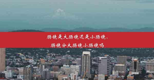 肠镜是大肠镜还是小肠镜、肠镜分大肠镜小肠镜吗