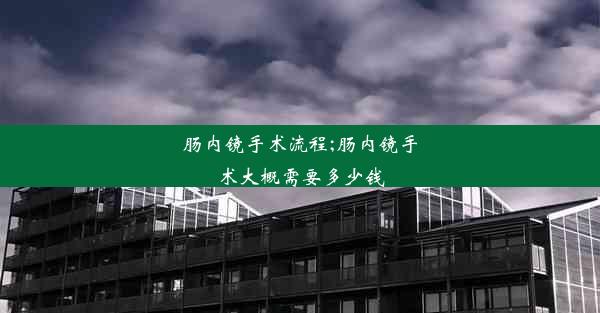 肠内镜手术流程;肠内镜手术大概需要多少钱