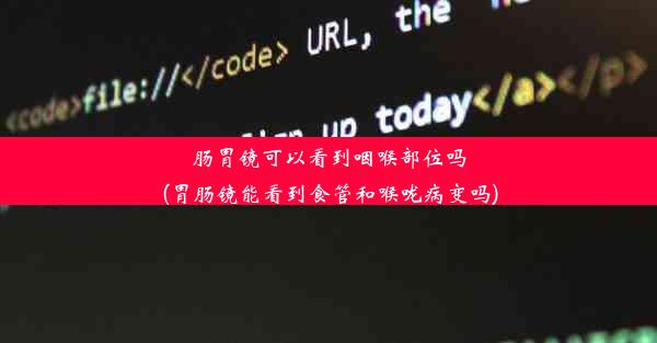 肠胃镜可以看到咽喉部位吗(胃肠镜能看到食管和喉咙病变吗)