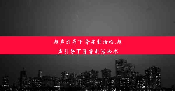 超声引导下肾穿刺活检,超声引导下肾穿刺活检术