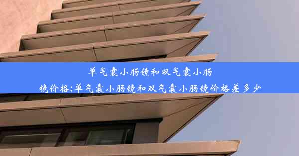 单气囊小肠镜和双气囊小肠镜价格;单气囊小肠镜和双气囊小肠镜价格差多少