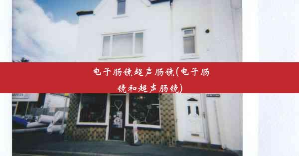 <b>电子肠镜超声肠镜(电子肠镜和超声肠镜)</b>