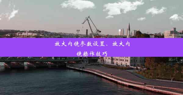 放大内镜参数设置、放大内镜操作技巧