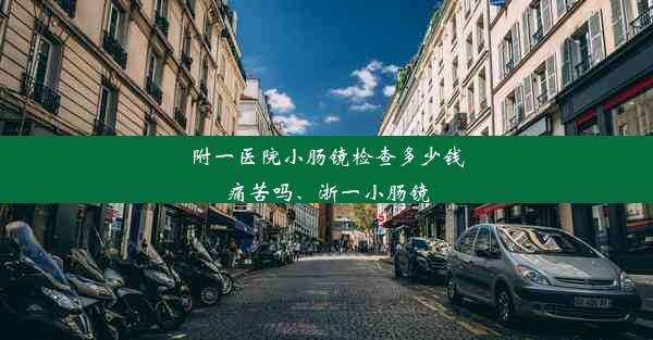 附一医院小肠镜检查多少钱痛苦吗、浙一小肠镜