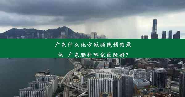 广东什么地方做肠镜预约最快_广东肠科哪家医院好？