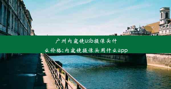 广州内窥镜usb摄像头什么价格;内窥镜摄像头用什么app