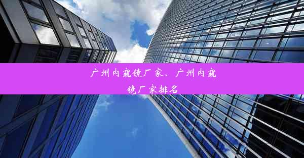 广州内窥镜厂家、广州内窥镜厂家排名