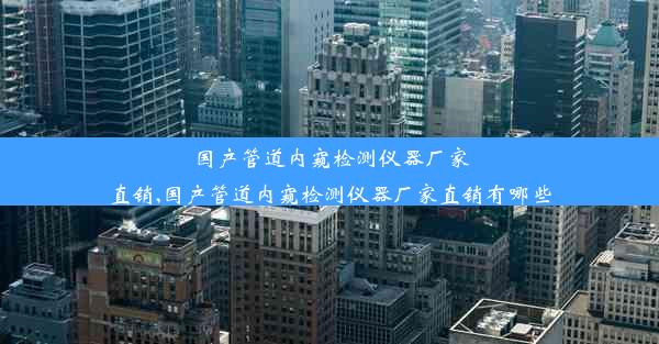 国产管道内窥检测仪器厂家直销,国产管道内窥检测仪器厂家直销有哪些