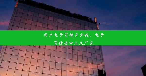 国产电子胃镜多少钱、电子胃镜进口三大厂家