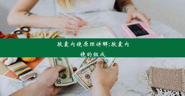 胶囊内镜原理讲解;胶囊内镜的组成