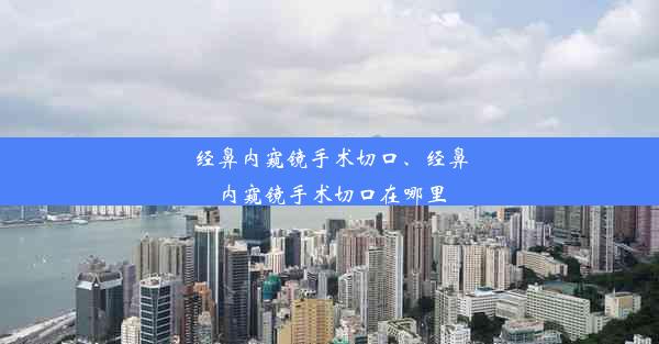 经鼻内窥镜手术切口、经鼻内窥镜手术切口在哪里