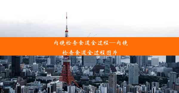 内镜检查食道全过程—内镜检查食道全过程图片