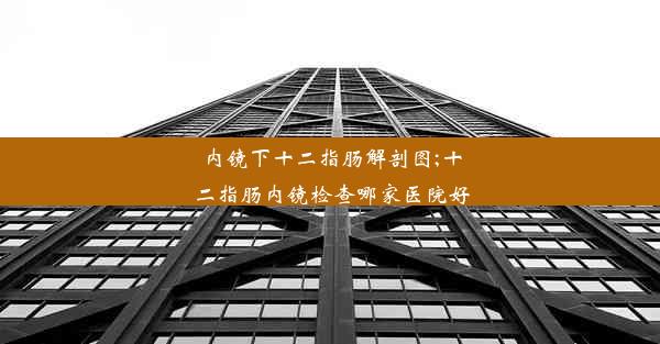 内镜下十二指肠解剖图;十二指肠内镜检查哪家医院好