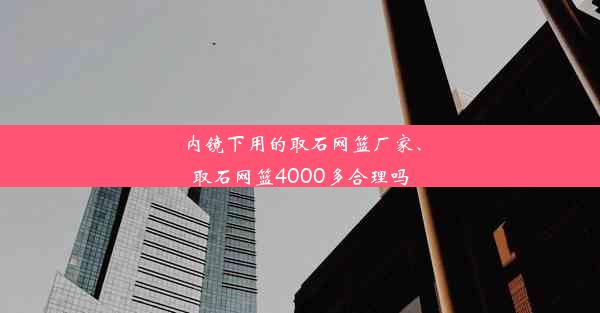 内镜下用的取石网篮厂家、取石网篮4000多合理吗