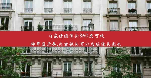 内窥镜摄像头360度可旋转带显示屏,内窥镜头可以当摄像头用么