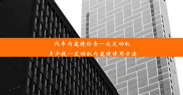 汽车内窥镜检查一次发动机多少钱—发动机内窥镜使用方法