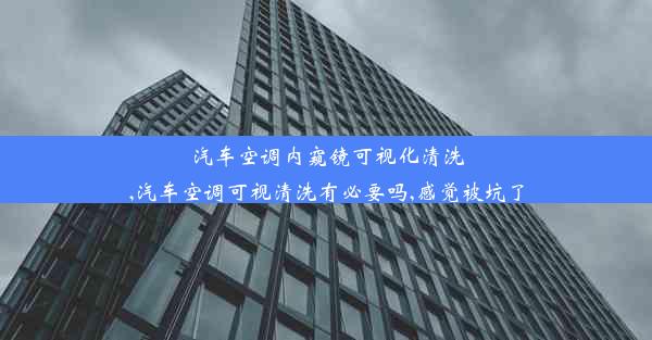 汽车空调内窥镜可视化清洗,汽车空调可视清洗有必要吗,感觉被坑了