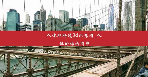 <b>人体肛肠镜3d示意图_人体的结构图片</b>