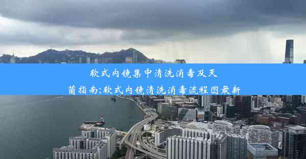 软式内镜集中清洗消毒及灭菌指南;软式内镜清洗消毒流程图最新