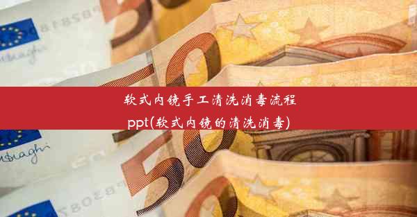 软式内镜手工清洗消毒流程ppt(软式内镜的清洗消毒)