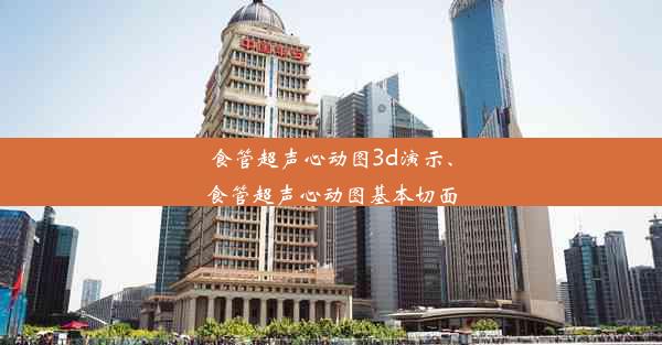 <b>食管超声心动图3d演示、食管超声心动图基本切面</b>