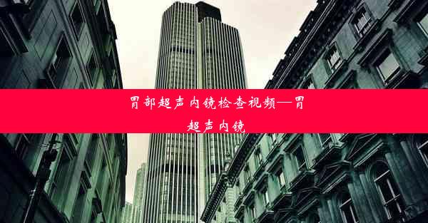 胃部超声内镜检查视频—胃 超声内镜