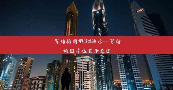 胃结构图解3d演示—胃结构图片位置示意图