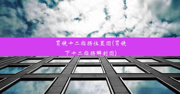 <b>胃镜十二指肠位置图(胃镜下十二指肠解剖图)</b>