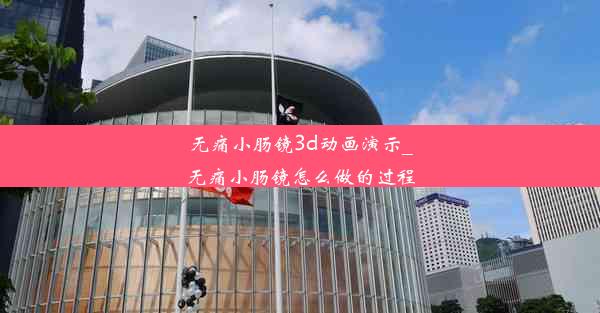 无痛小肠镜3d动画演示_无痛小肠镜怎么做的过程