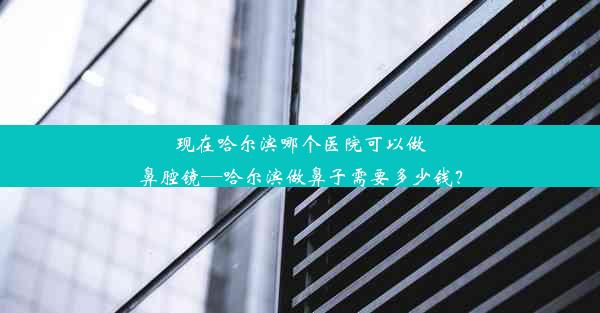 现在哈尔滨哪个医院可以做鼻腔镜—哈尔滨做鼻子需要多少钱？