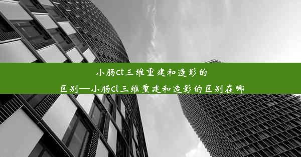 小肠ct三维重建和造影的区别—小肠ct三维重建和造影的区别在哪